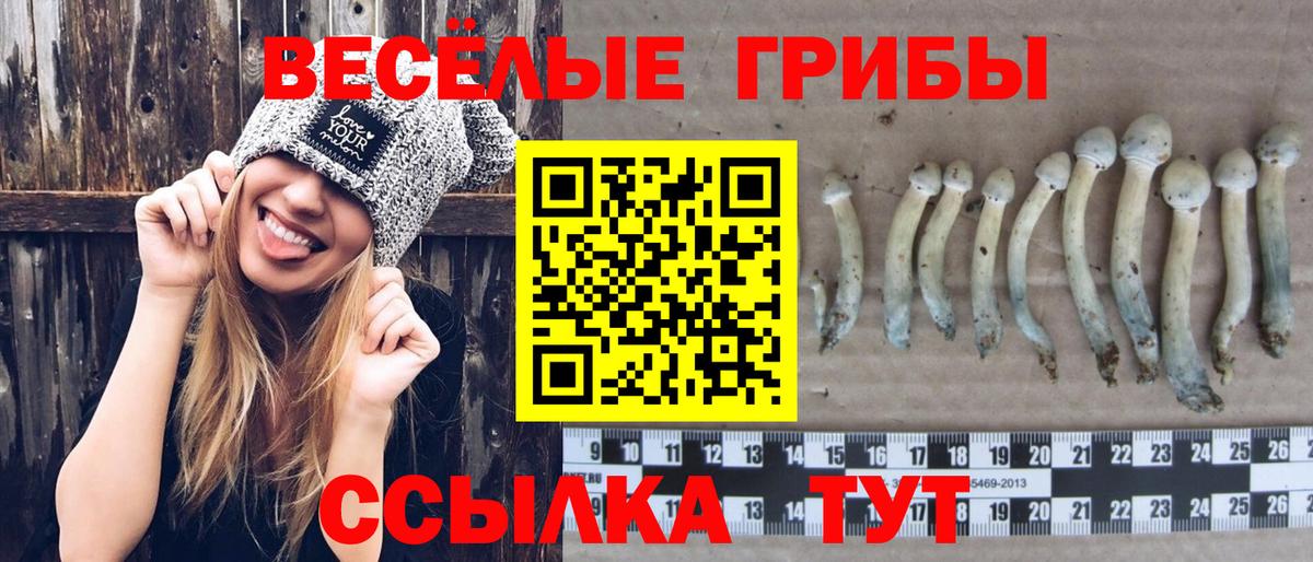 Джанкой  Псилоцибиновые грибы прущие грибы  Вход с VPN  Псилоцибиновые грибы ЛСД 